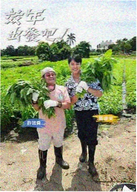 99视频免费观看综艺 岛屿厨房